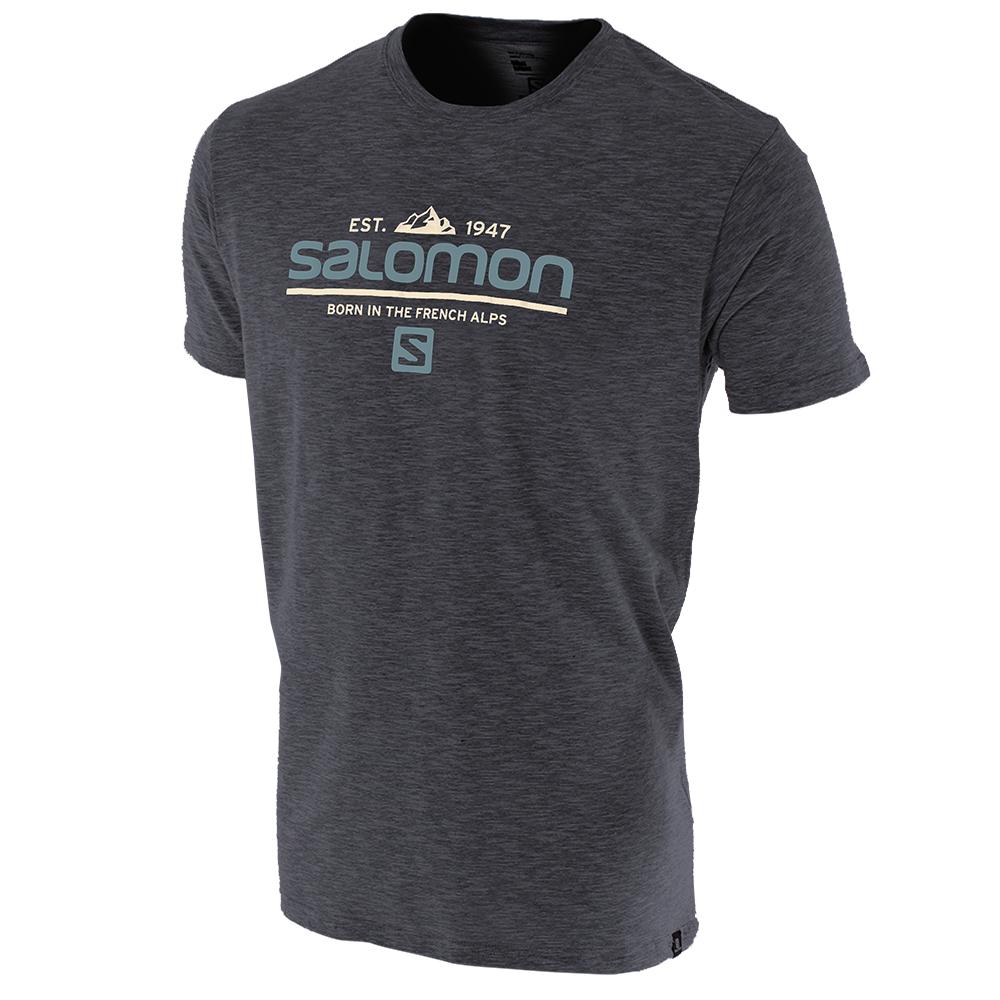 Salomon Singapore Mens T-shirts - VISIONARY SS M Grey | 60294-OKDG